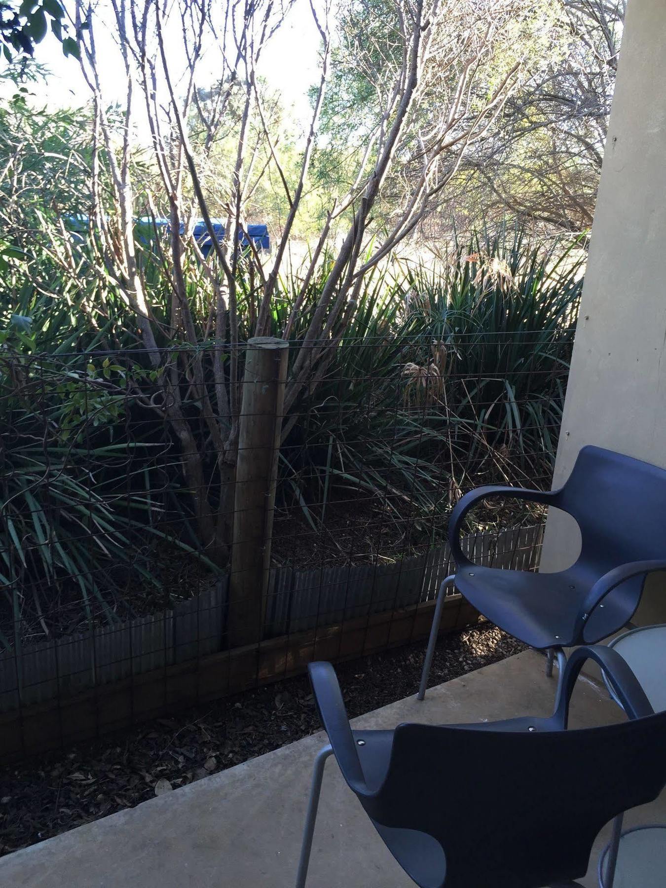 The Albion Motel Castlemaine Εξωτερικό φωτογραφία
