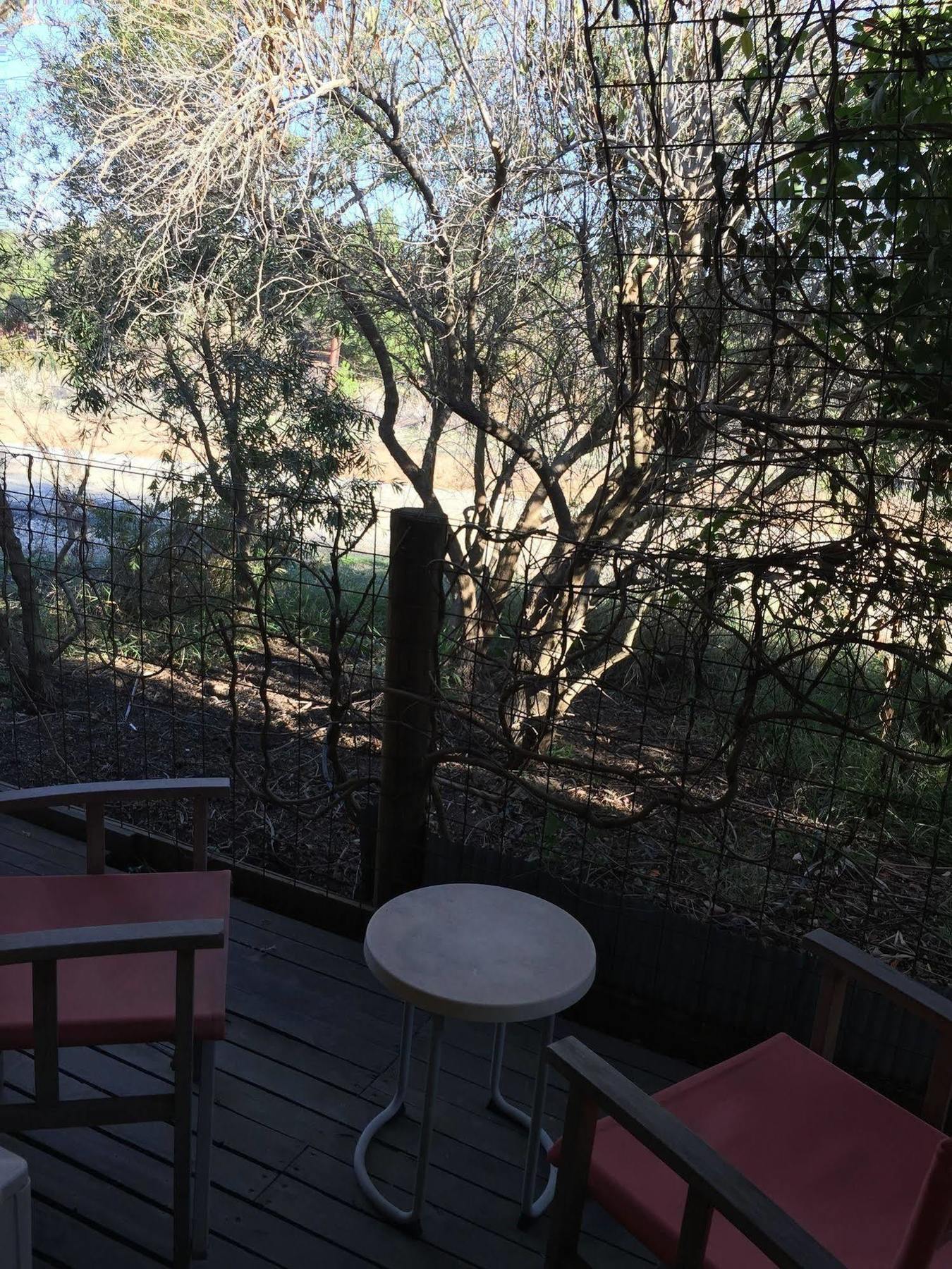 The Albion Motel Castlemaine Εξωτερικό φωτογραφία